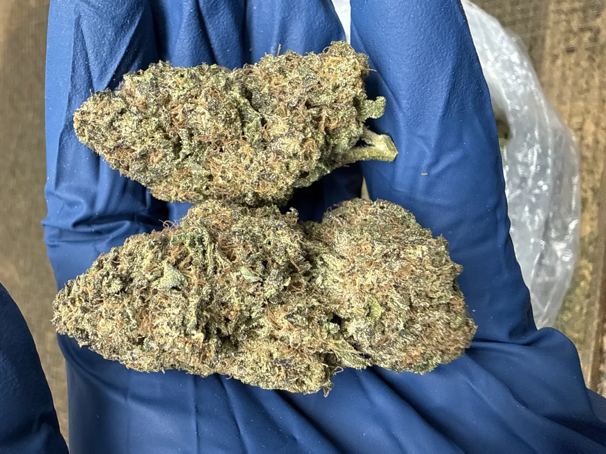 Runtz Packaged Flower